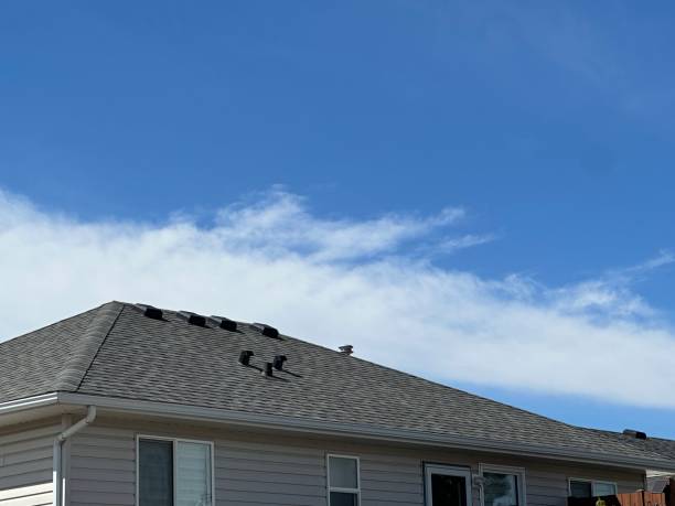 Gutter Replacement in Mound Bayou, MS